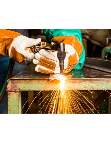 Pictograma archivo 2000 obligatorio uso de...