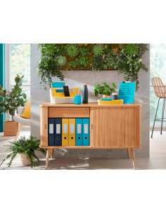 Bandeja sobremesa plastico...