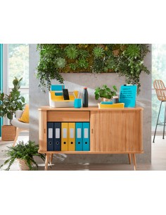 Bandeja sobremesa plastico... 2