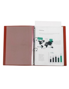 Carpeta liderpapel canguro... 2