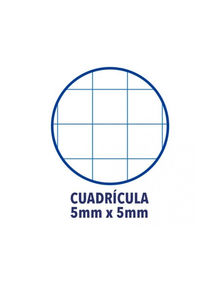 Recambio color 1 oxford din a4+ 80 hojas 90 gr...