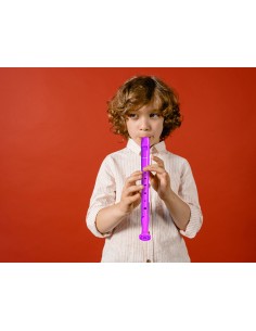 Flauta hohner 9508 color... 2