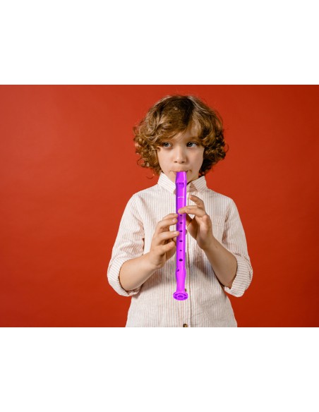 Flauta hohner 9508 color violeta funda verde y transparente