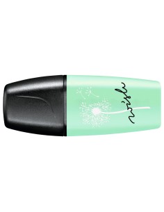 Rotulador stabilo boss mini...