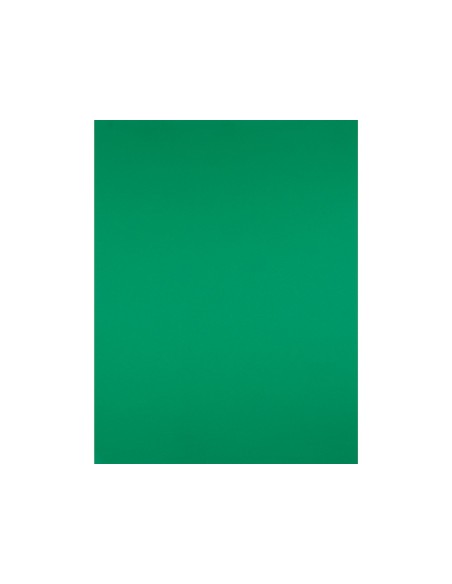Cartulina liderpapel 50x65 cm 180g/m2 verde...