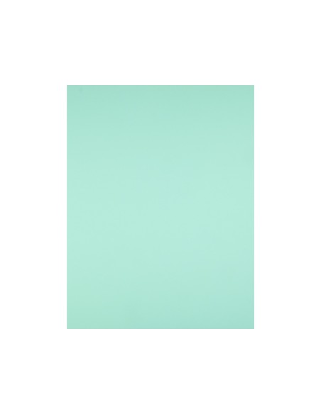 Cartulina liderpapel 50x65 cm 180g/m2 verde...