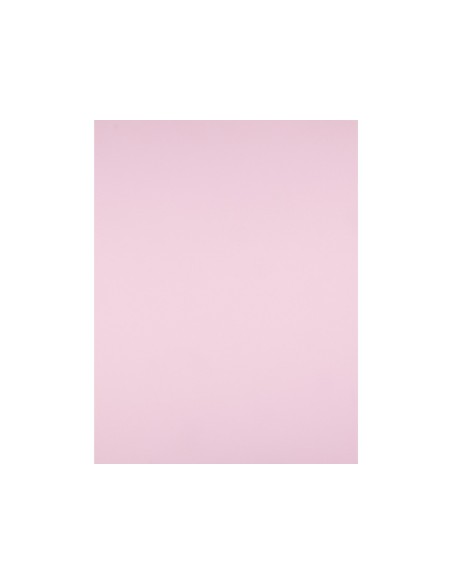 Cartulina liderpapel 50x65 cm 180g/m2 rosa...