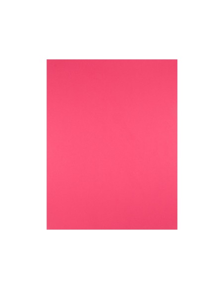 Cartulina liderpapel 50x65 cm 180g/m2 fucsia...