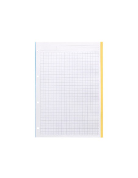 Recambio a4 100 hojas 90g/m2 cuadro 5 mm 4...