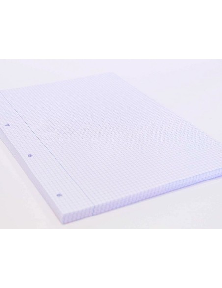 Recambio oxford a4 100 + 20 hojas gratis 90 gr...