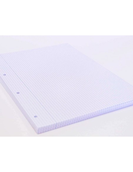 Recambio oxford a4 100 + 20 hojas gratis 90 gr cuadro 4mm 4 taladros