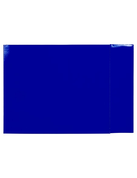 Caja archivador liderpapel de palanca carton...