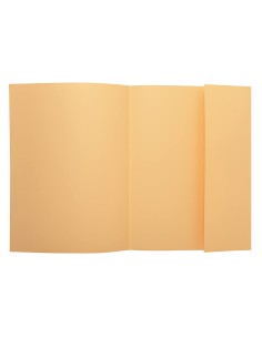 Subcarpeta exacompta din a4...