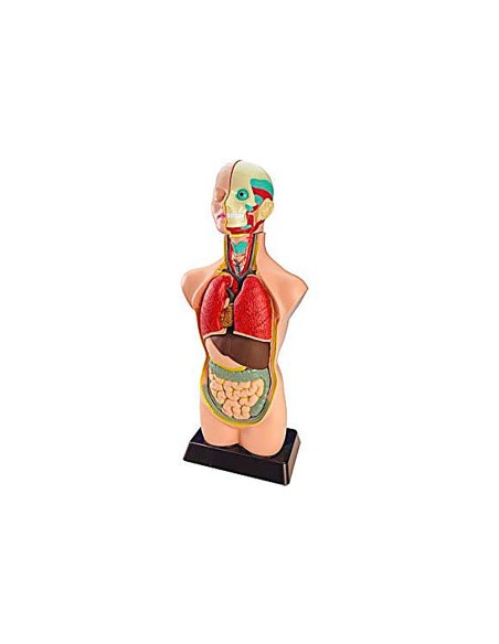 Juego miniland anatomia humana 11 piezas 50 cm