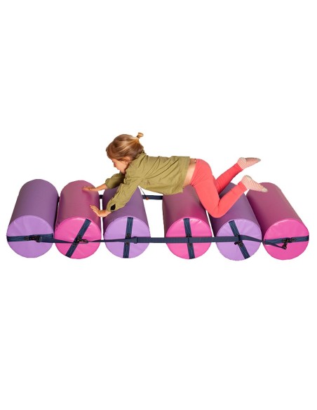 Rodillo deslizantes sumo didactic 6 cilindros...
