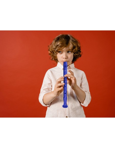 Flauta hohner 9508 color azul funda verde y...