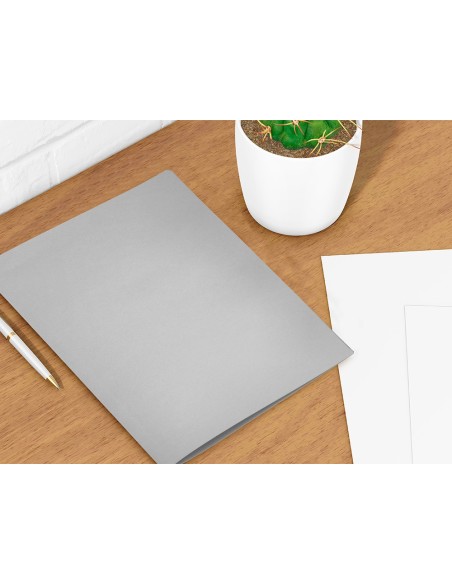 Subcarpeta liderpapel a4 gris 180g/m2