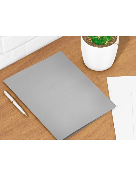 Subcarpeta liderpapel folio gris 180g/m2