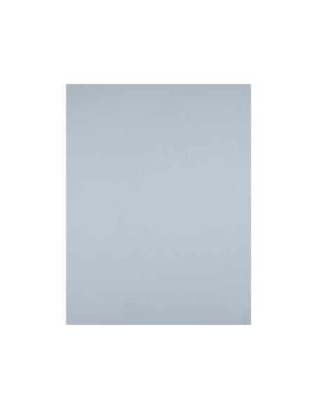 Cartulina liderpapel 50x65 cm 180 gr gris...