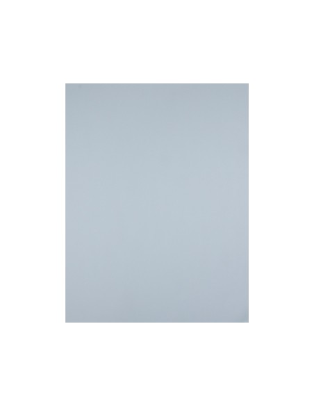 Cartulina liderpapel 50x65 cm 180 gr gris paquete de 25 hojas