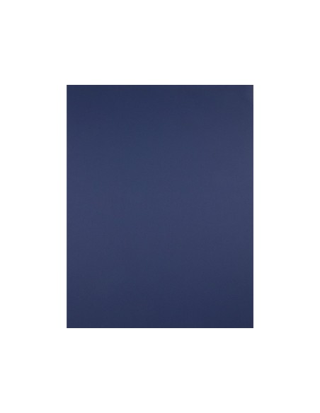 Cartulina liderpapel 50x65 cm 180 gr zafiro...