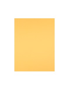 Cartulina liderpapel 50x65... 2