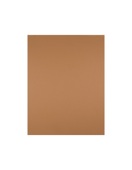 Cartulina liderpapel 50x65 cm 180 gr marron...