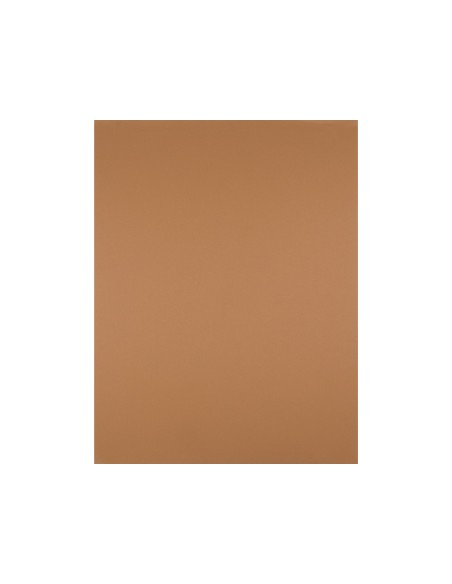Cartulina liderpapel 50x65 cm 180 gr marron escolar paquete de 25 hojas