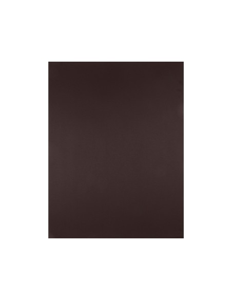 Cartulina liderpapel 50x65 cm 180 gr marron...