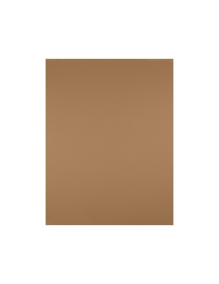Cartulina liderpapel 50x65 cm 180 gr marron...