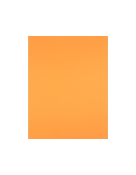 Cartulina liderpapel 50x65 cm 180 gr nectarina...