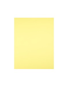 Cartulina liderpapel 50x65... 2