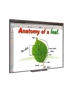 Pizarra interactiva sb480...