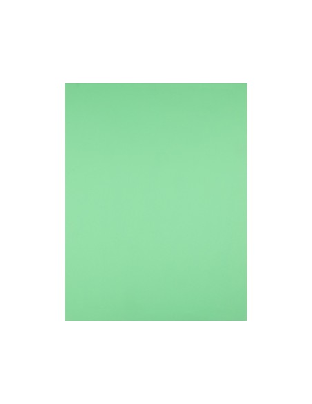 Cartulina liderpapel 50x65 cm 240g/m2 verde...