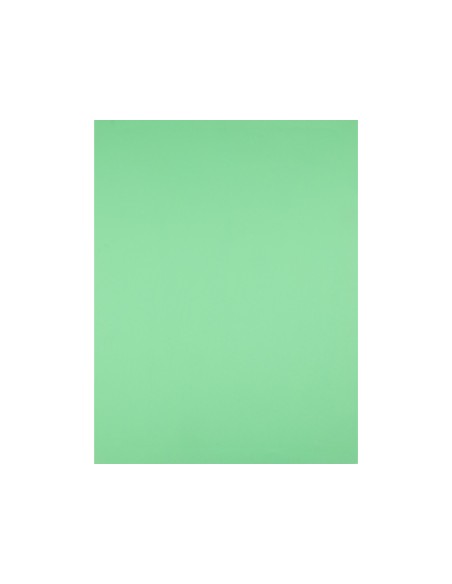 Cartulina liderpapel 50x65 cm 240g/m2 verde hierba paquete de 25 hojas