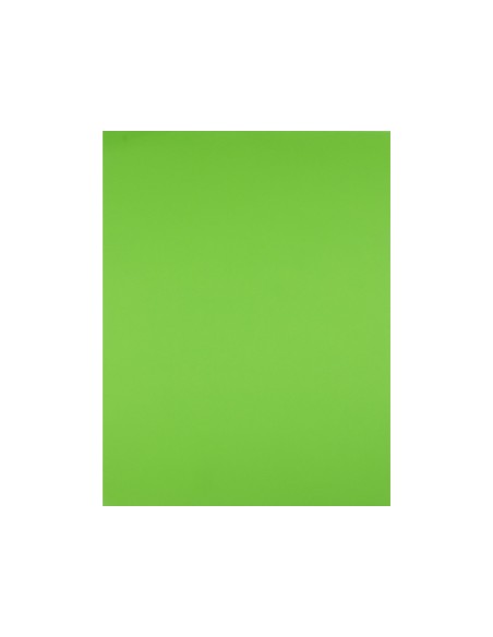 Cartulina liderpapel 50x65 cm 240g/m2 verde paquete de 25 hojas