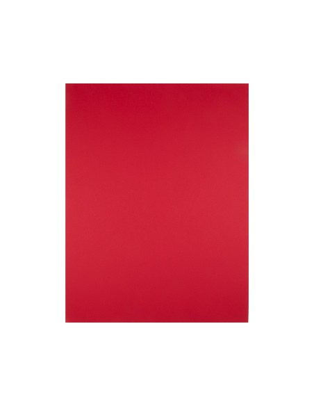Cartulina liderpapel 50x65 cm 240g/m2 rojo...