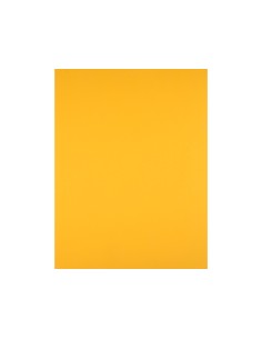 Cartulina liderpapel 50x65... 2