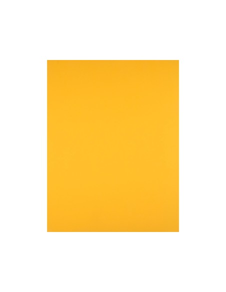 Cartulina liderpapel 50x65 cm 240g/m2 oro viejo...