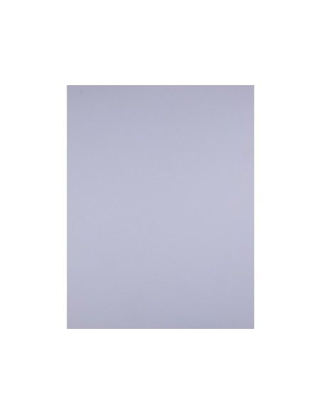 Cartulina liderpapel 50x65 cm 240g/m2 lila...