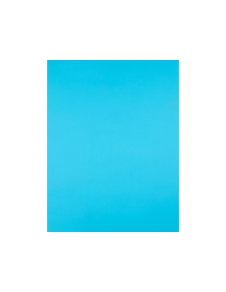 Cartulina liderpapel 50x65 cm 240g/m2 celeste...