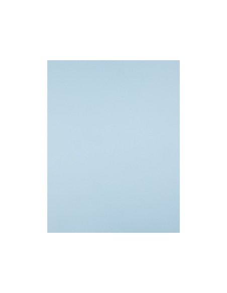Cartulina liderpapel 50x65 cm 240g/m2 azul...