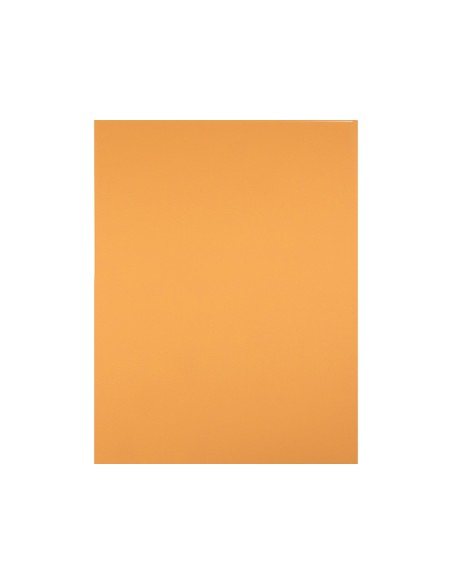 Cartulina liderpapel 50x65 cm 240g/m2 avellana...