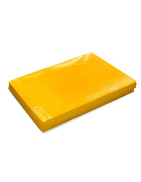 Carpeta dossier uñero plastico q-connect din a4...
