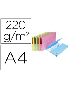 Subcarpeta cartulina... 2