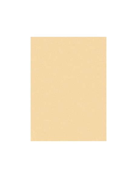 Fieltro liderpapel 50x70cm color carne 160g/m2