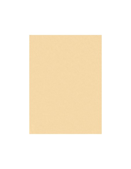 Fieltro liderpapel 50x70cm color carne 160g/m2