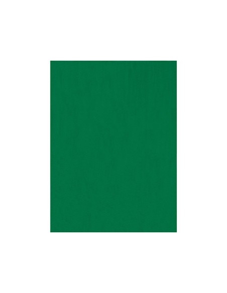 Fieltro liderpapel 50x70cm verde 160g/m2