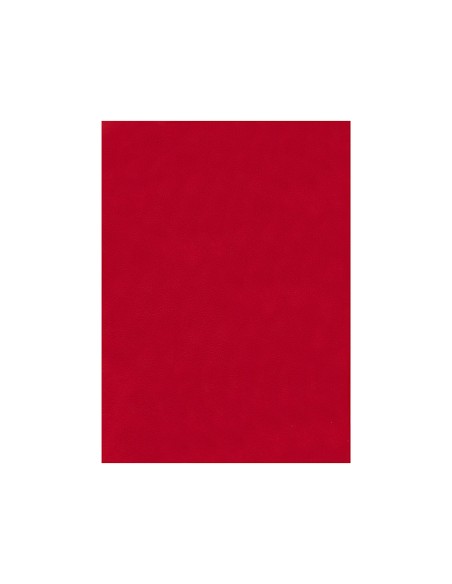 Fieltro liderpapel 50x70cm rojo 160g/m2