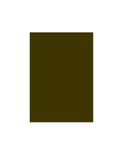 Cartulina liderpapel 50x65...
